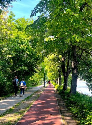 Read more about the article Ποδηλατώντας στο νησί της Μαργαρίτας<br>Εκεί που η Βούδα συναντά την Πέστη!