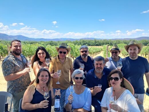 Read more about the article Διατοπικό Σχέδιο Συνεργασίας «Οργάνωση και Προβολή του Οινοτουρισμού στον Έβρο !»