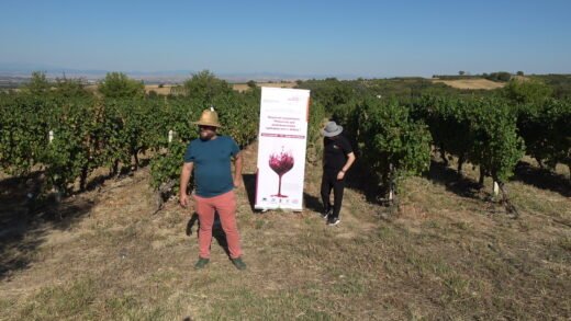 Read more about the article ”Οργάνωση και Προβολή του Οινοτουρισμού”<br>Μιλώντας για την ανάπτυξη οινοτουριστικών εμπειριών!