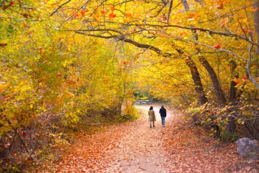 Read more about the article Η Μακεδονία που δεν ήξερες… Σκρα, ο παράδεισος της σιωπής»