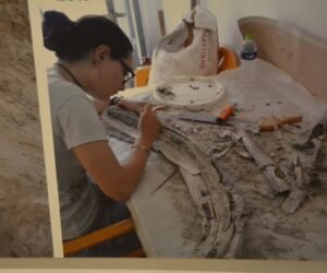 Μυστήριο επτά εκατομμυρίων ετών αναγεννά την Πιερία!<br> Ο Λοξόλοφος Ζυγόδοντας της Νεοκαισάρειας!