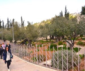 Στο Όρος των Ελαιών στην Ιερουσαλήμ.<br>Οι εξελίξεις ξεκινούν..