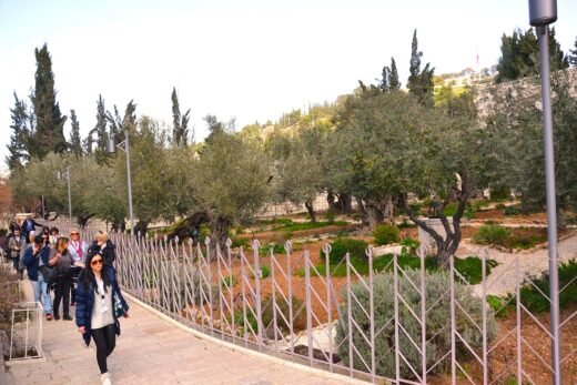 Read more about the article Στο Όρος των Ελαιών στην Ιερουσαλήμ.<br>Οι εξελίξεις ξεκινούν..
